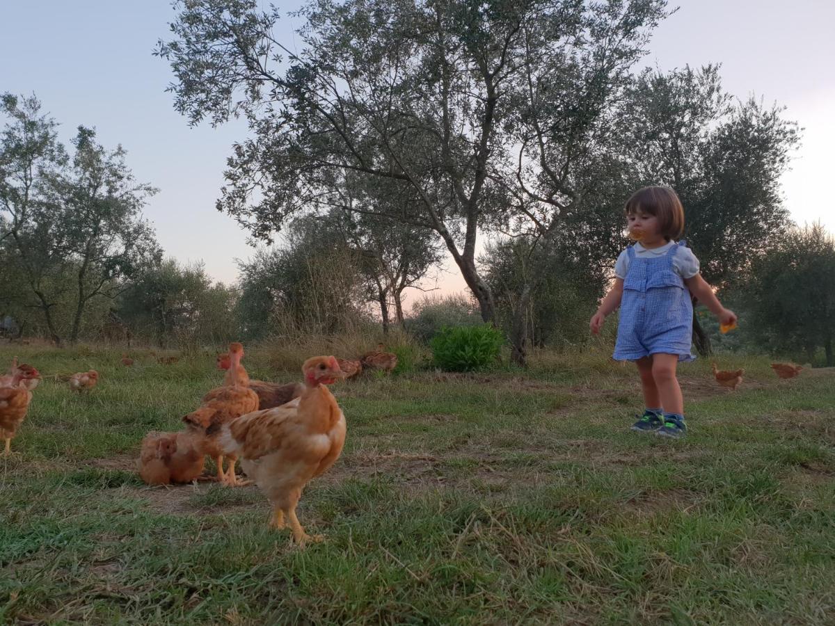 منزل الضيف فيسولي  في Fattoria Di Maiano المظهر الخارجي الصورة